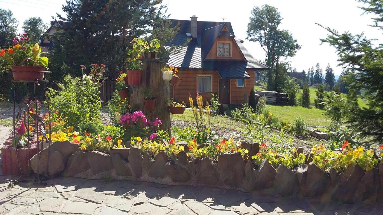 Domek Pod Kogutkiem Na Dolinie Bukowina Tatrzańska Exterior foto