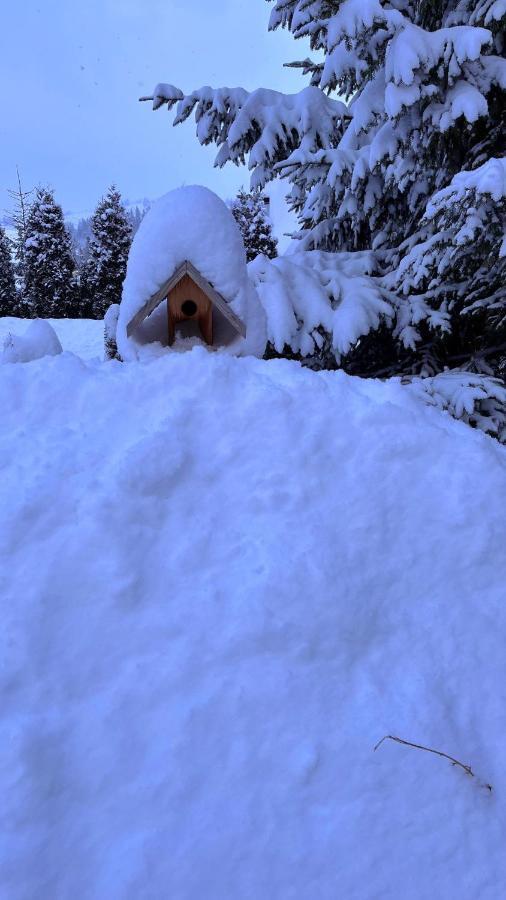 Domek Pod Kogutkiem Na Dolinie Bukowina Tatrzańska Exterior foto