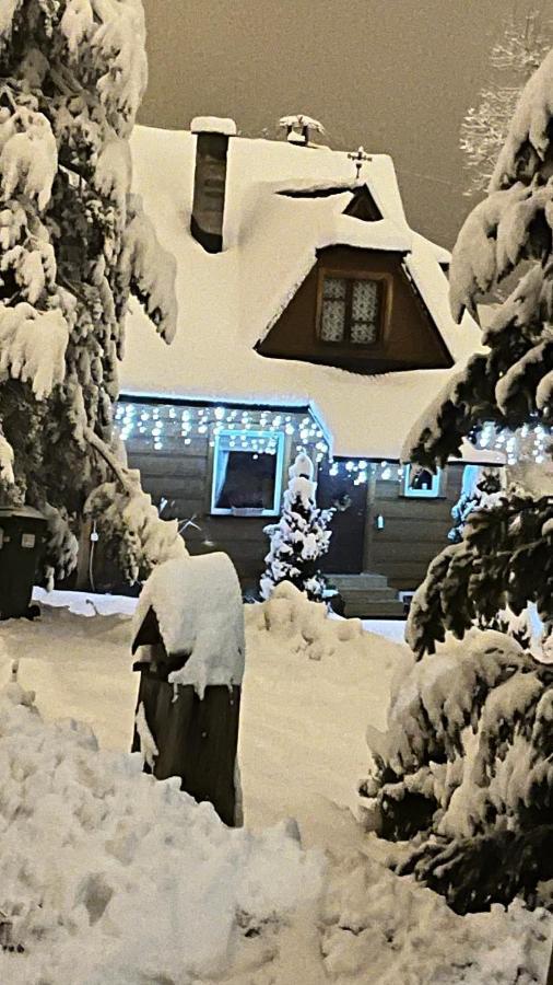 Domek Pod Kogutkiem Na Dolinie Bukowina Tatrzańska Exterior foto