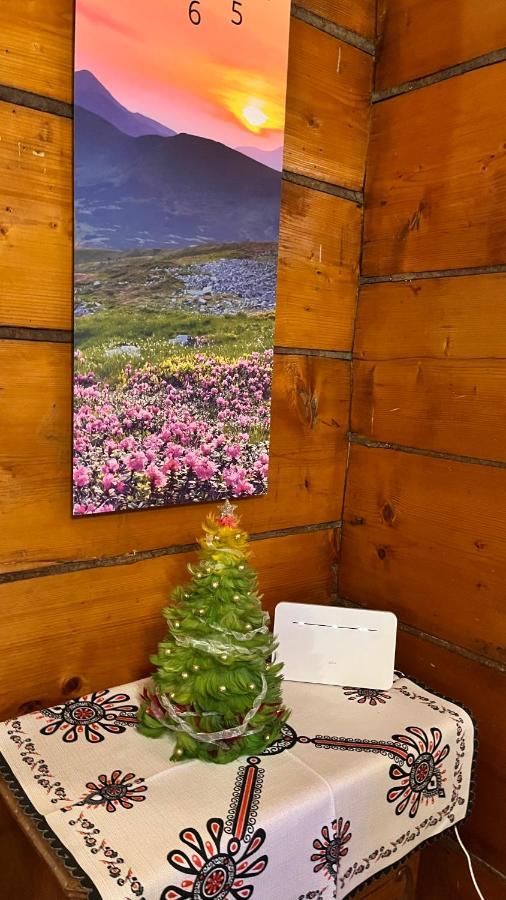 Domek Pod Kogutkiem Na Dolinie Bukowina Tatrzańska Exterior foto