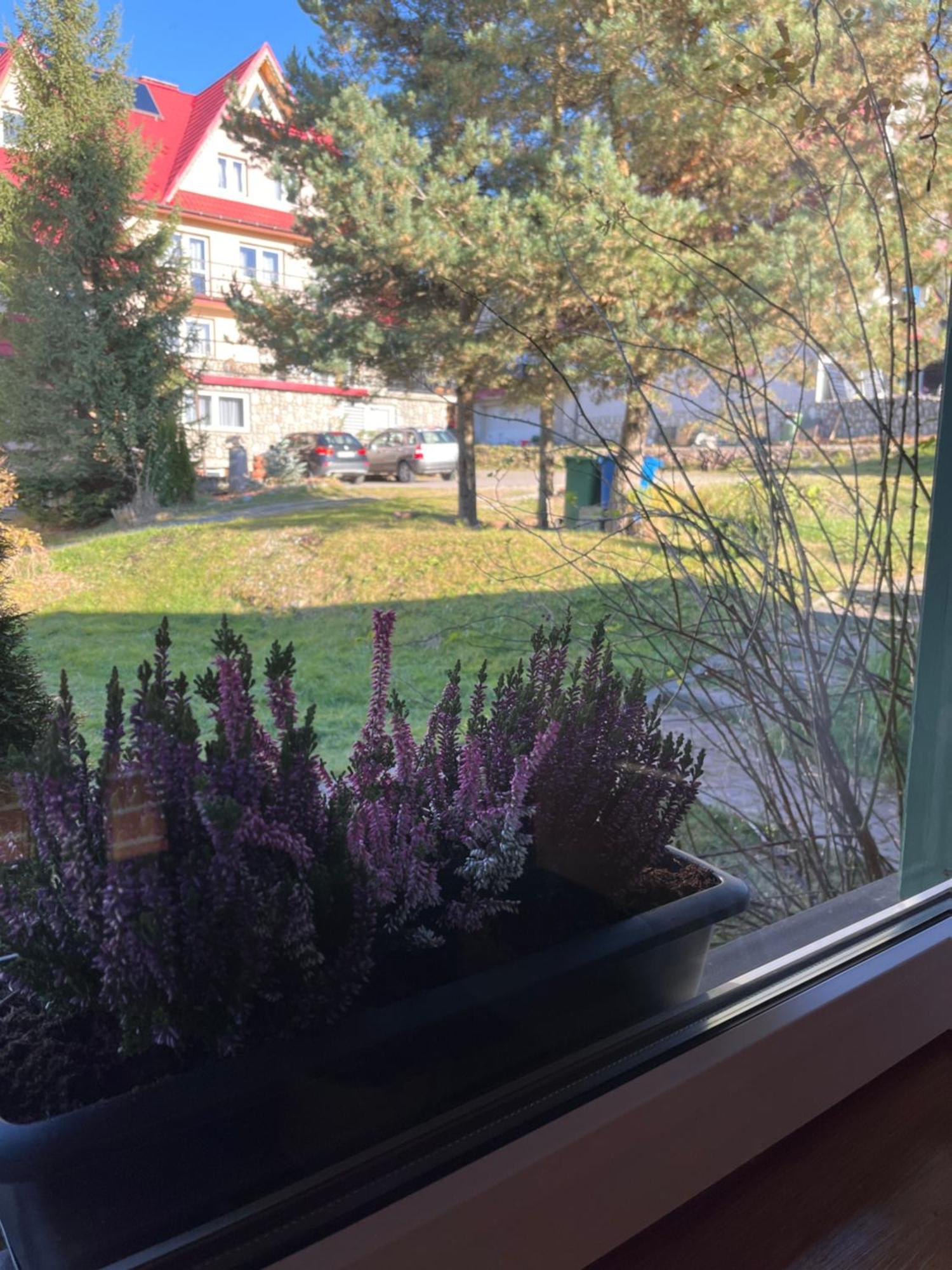 Domek Pod Kogutkiem Na Dolinie Bukowina Tatrzańska Exterior foto